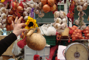 Fotografia com uma mão a escolher um girassol no meio de alhos e cebolas, num ambiente de mercado.
