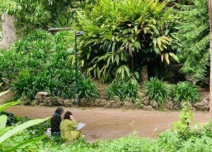 Fotografia de uma vista parcial do Jardim da Estrela. Direitos reservados.