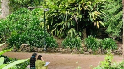 Fotografia de uma vista parcial do Jardim da Estrela. Direitos reservados.