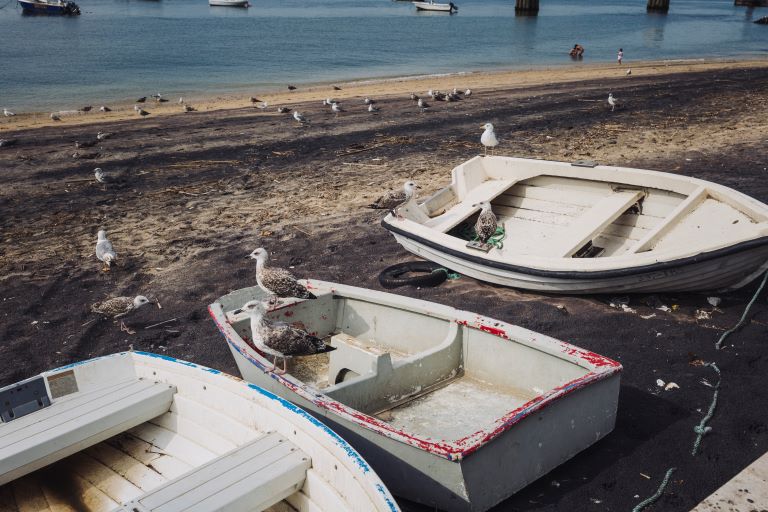 Imagem com barcos à beira mar.