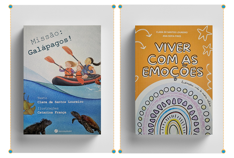 Imagem com a capa dos livros.