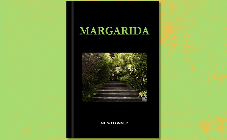 Imagem com a capa do livro.