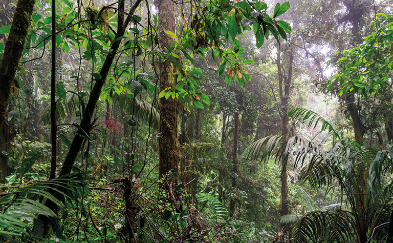 Imagem com um pormenor de uma das obras da exposição.
