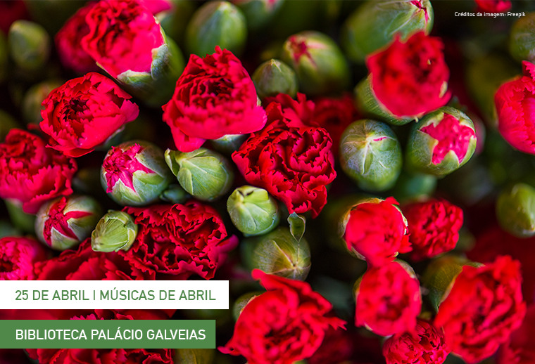 Imagem com cravos vermelhos.