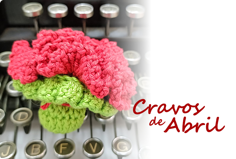 Imagem com um cravo em crochet.