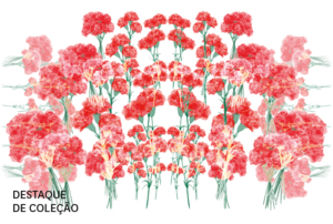 Imagem com vários cravos vermelhos.