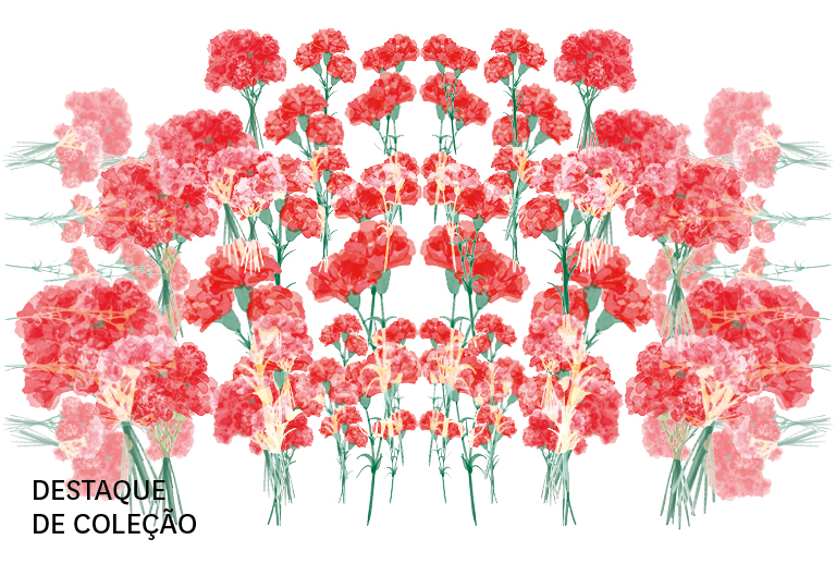 Imagem com vários cravos vermelhos.