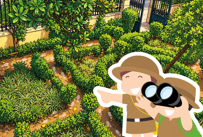 Imagem com uma parte do jardim da Biblioteca de Belém.