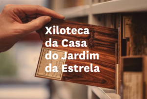 Imagem com um dos exemplares da xiloteca.