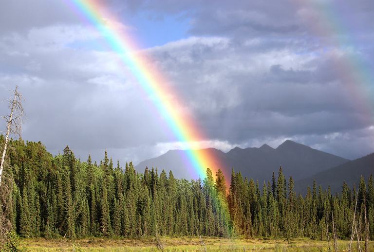 Imagem de um arco-íris sob um fundo de floresta e montanha.