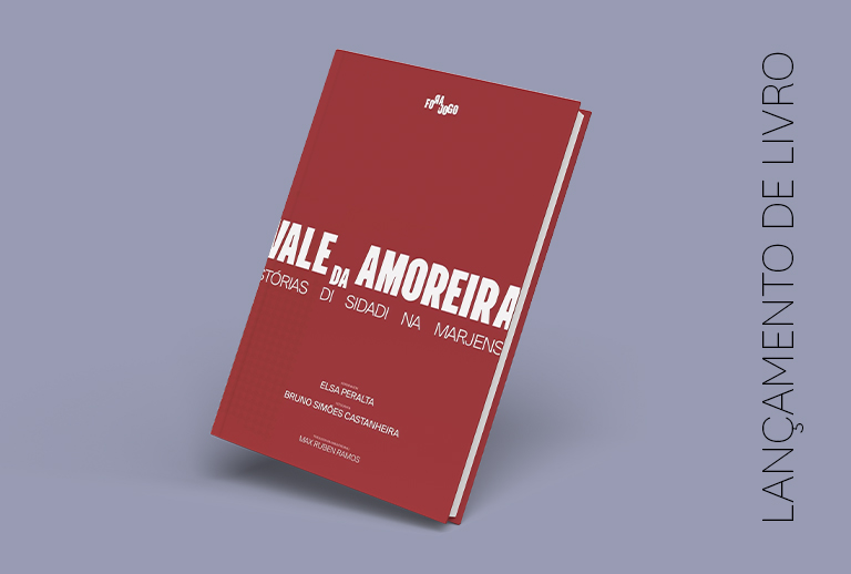 Imagem com capa do livro Vale da Amoreira